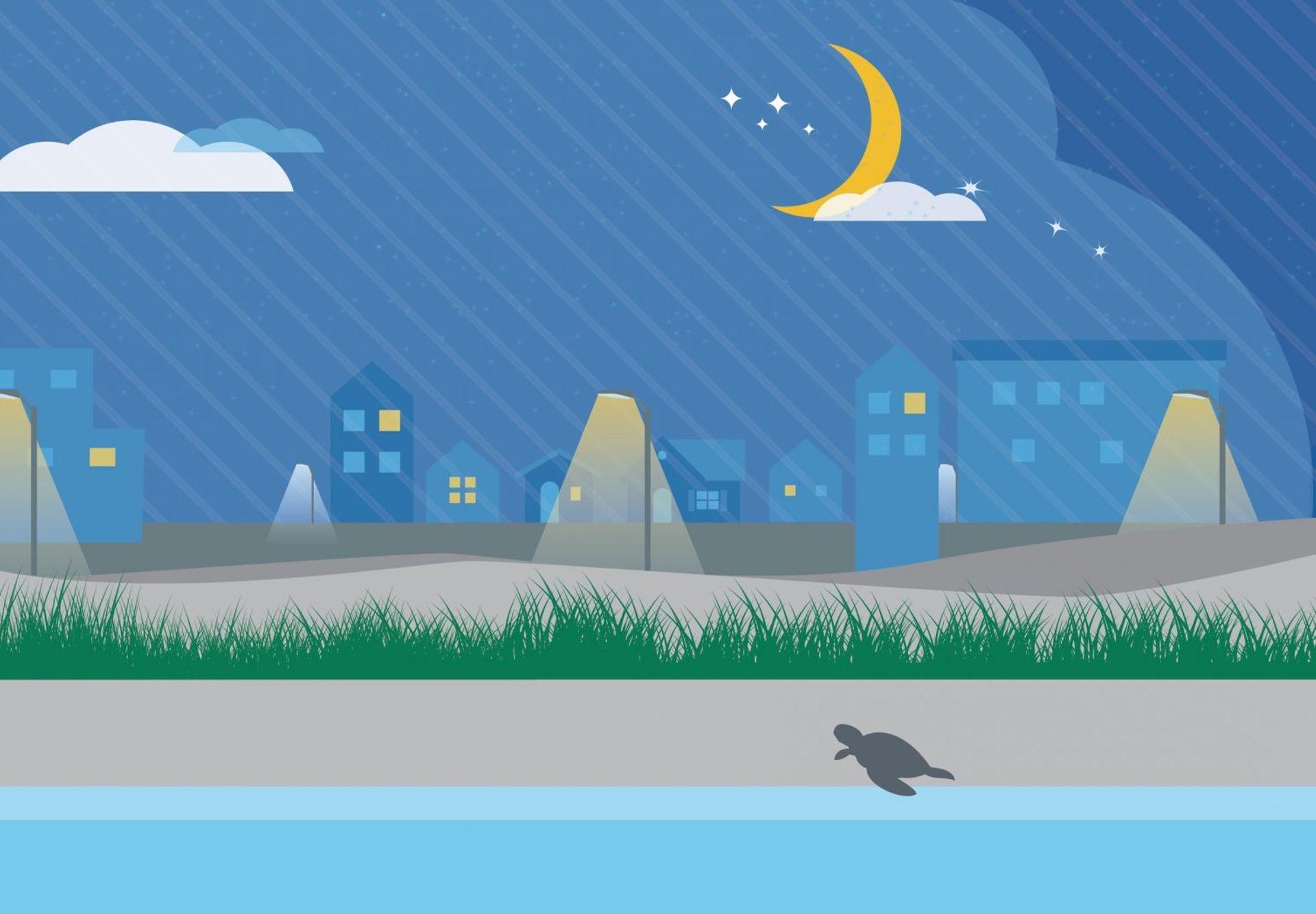 illustration of turtle hatching with different color value street lighting just beyond the dunes